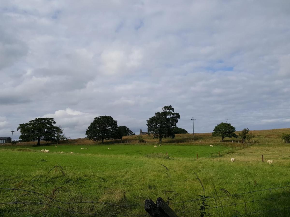 Lower Turnerford Farmhouse Newby  ภายนอก รูปภาพ
