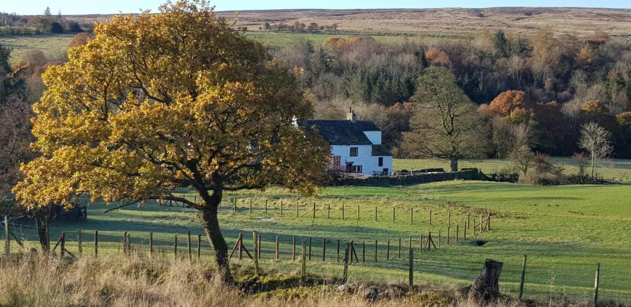 Lower Turnerford Farmhouse Newby  ภายนอก รูปภาพ